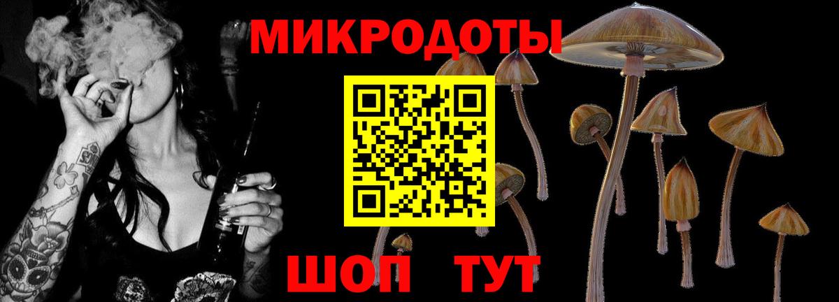 Псилоцибиновые грибы ЛСД  Вход с VPN  Обнинск  Галлюциногенные грибы Psilocybine cubensis 